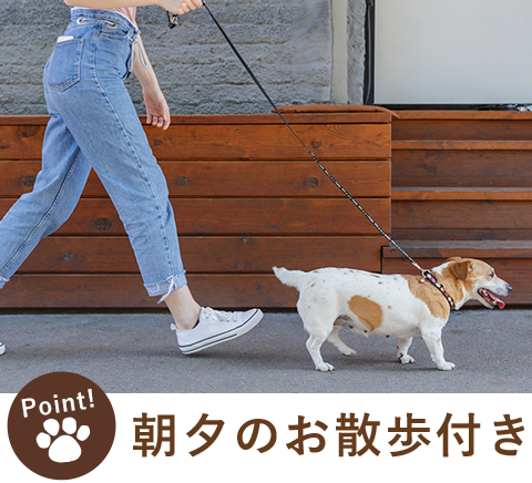 朝のお散歩付き