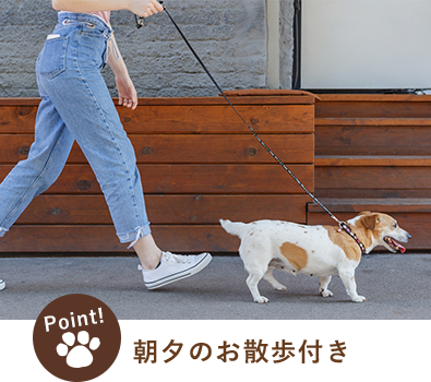 朝のお散歩付き