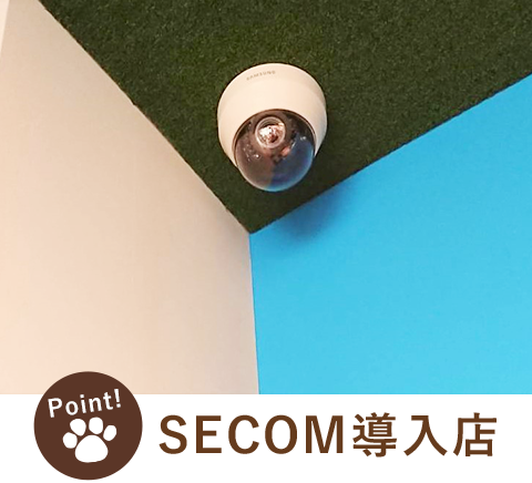 SECOM導入