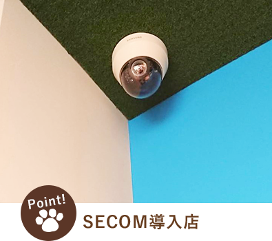 SECOM導入