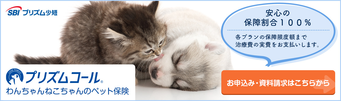 プリズムコール　わんちゃんねこちゃんのペット保証