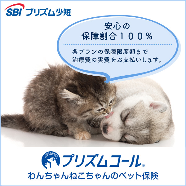 プリズムコール　わんちゃんねこちゃんのペット保証