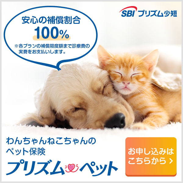 わんちゃんねこちゃんのペット保険 プリズムペット